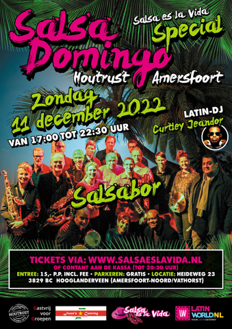 v3 Salsa es la Vida Salsa Domingo 24 februari 2019 A4 poster